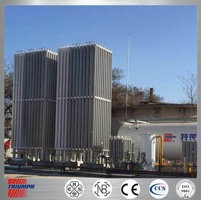 ASME/GB/NB/LNG气化器/LIN/LAr/LCO2/气化器电加热式循环水