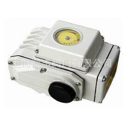 输出力矩200N.M SZS-16精小型电动执行器 SZS-20 220V执行机构