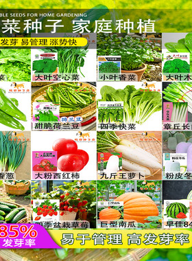 蔬菜种子易活盆栽播种四季庭院菜园青菜萝卜生菜小葱菠种籽孑大全