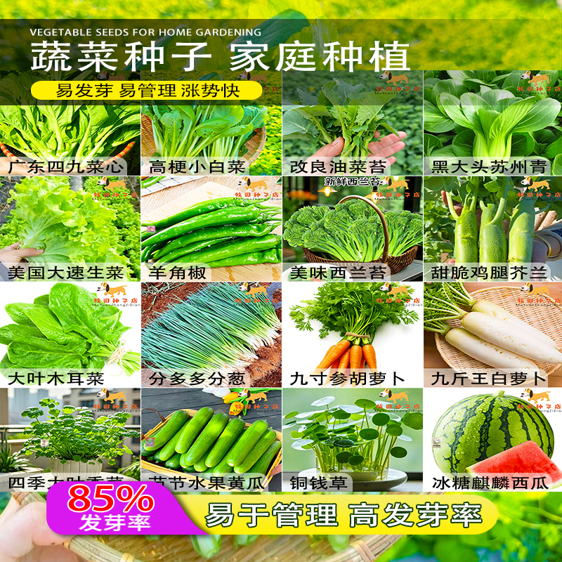 蔬菜种子四季白菜生小香葱菜播阳台盆栽辣椒萝卜瓜果秋种籽子大全