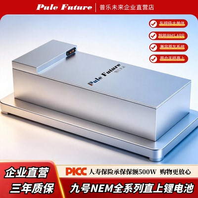 九号M95C直上锂电池M5/E80CMK2