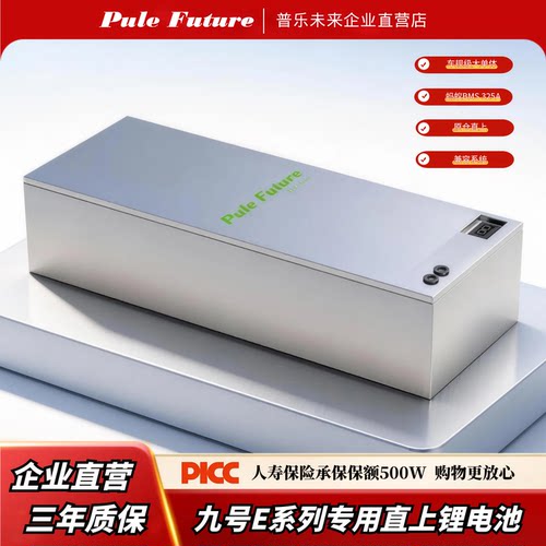 普乐未来九号E100直上锂电池