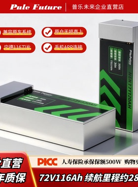 锂电池72V九号M3/M95/M5/金箭/AE4 SE/小牛NX/FX风速/FXT电摩直上