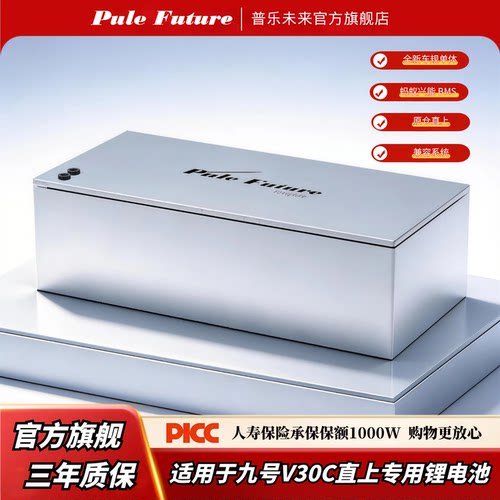 普乐九号V30C宁德三元单体锂电池
