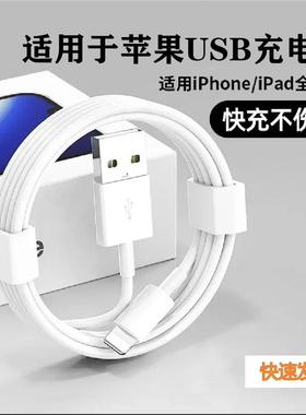 适用iPhone14数据线13promax品14苹果13充电线12器手机11/XR快充8p车载iPad平板6s快充2米原7plus装