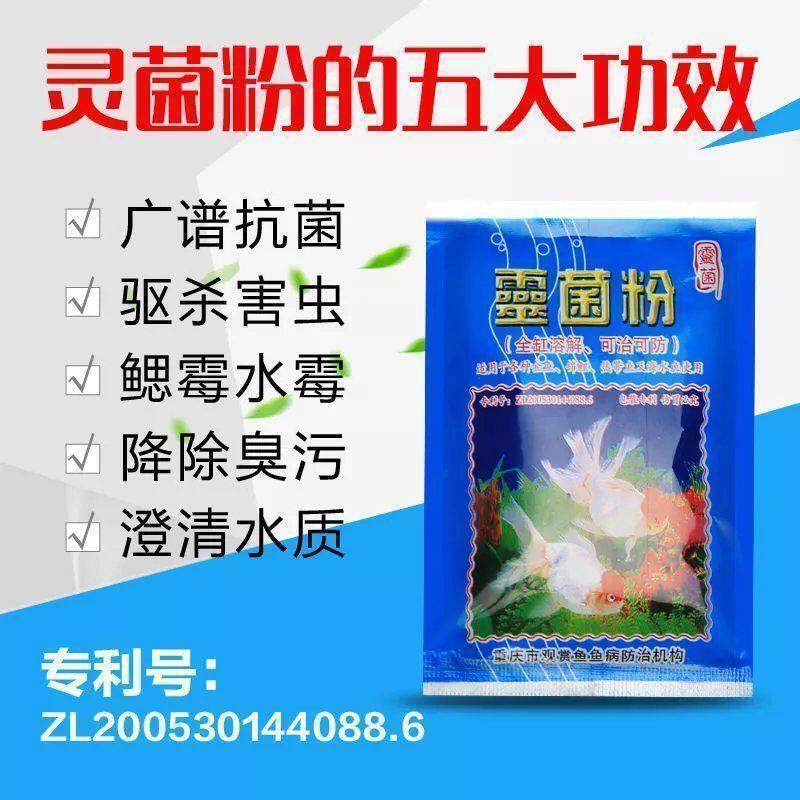 富利灵菌粉适用海水鱼锦