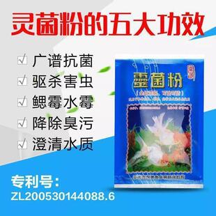 富利灵菌粉适用海水鱼锦鲤池塘鱼缸消毒可治可防万能菌粉鱼正品