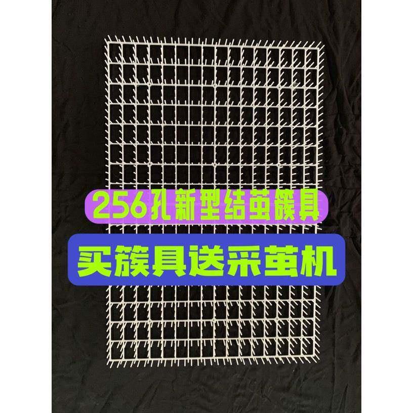 256孔养蚕专用结茧网蚕宝