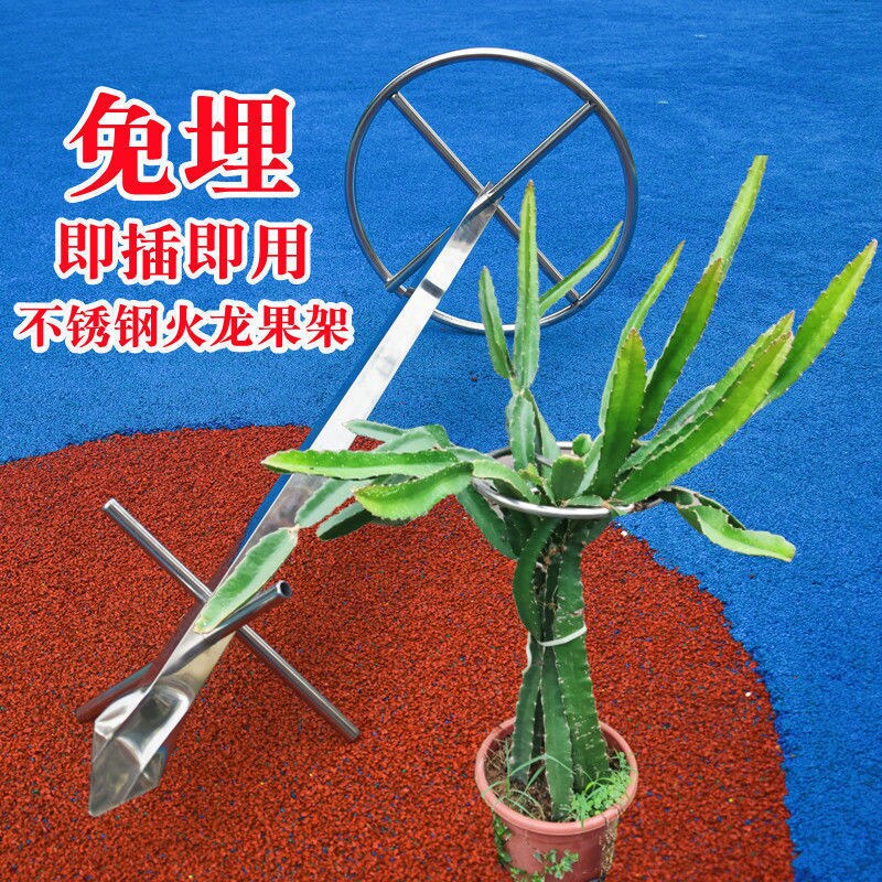 免埋火龙果支架不锈钢圆形架葡萄苗盆栽种植固定专用支架花架爬藤