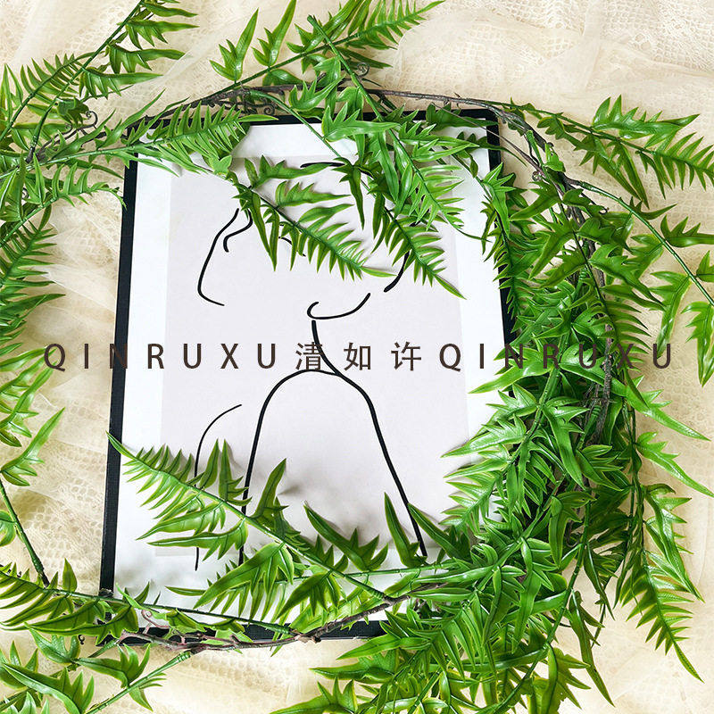 仿真藤条植物厂家仿真植物藤蔓仿真绿植壁挂含羞草波斯草蕨类,鲜花速递/花卉仿真/绿植园艺,商务用花,淘宝优惠券,粉丝福利购,淘宝优惠卷