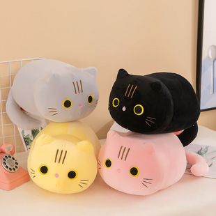 猫咪抱枕毛绒玩具可爱小猫公仔抱枕女孩生日礼物厂家直销批发