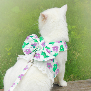猫咪牵引绳宠物衣服防挣脱胸背带外出神器缅因布偶德文专用超