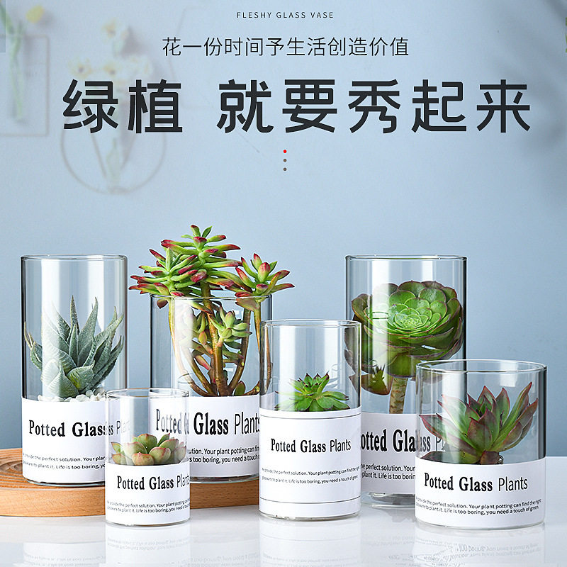 简约北欧ins风多肉水培高硼硅玻璃花盆 家居装饰透明玻璃花瓶简约