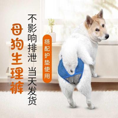 型大犬理生宠排可泄裤物卫生裤金毛大狗发情月经裤夏母狗安全裤棉
