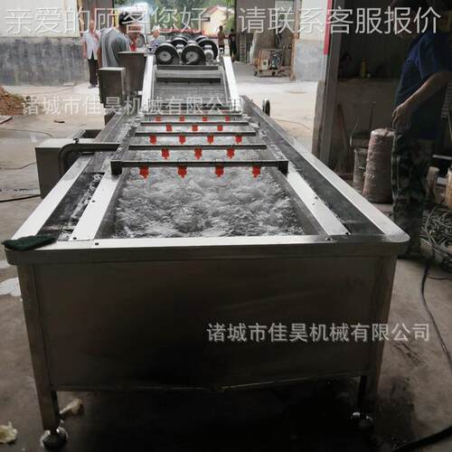 果洗蔬清洗机 薯菜机红玉米清洗机农ALW药果去蔬清洗机