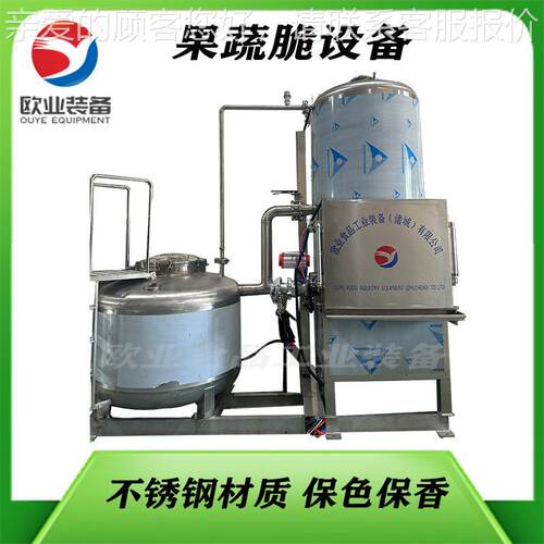 全蔬炸自FIS动果脆加工设备小黄鱼低温油炸  果蔬脱水低温真空油