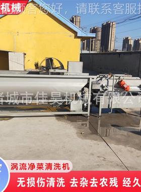 商QCH农用臭氧食堂蔬能菜大涡流清洗机设备型去除残杀菌多功生产