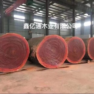 红铁木原木木料 加工非洲菠萝格防腐木板材 金莲木坤甸木 红铁木
