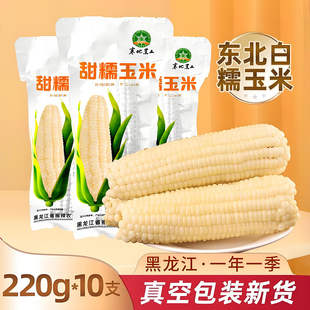 东北白甜糯玉米棒新鲜采摘东北非转基因甜糯玉米棒220g 10真空装