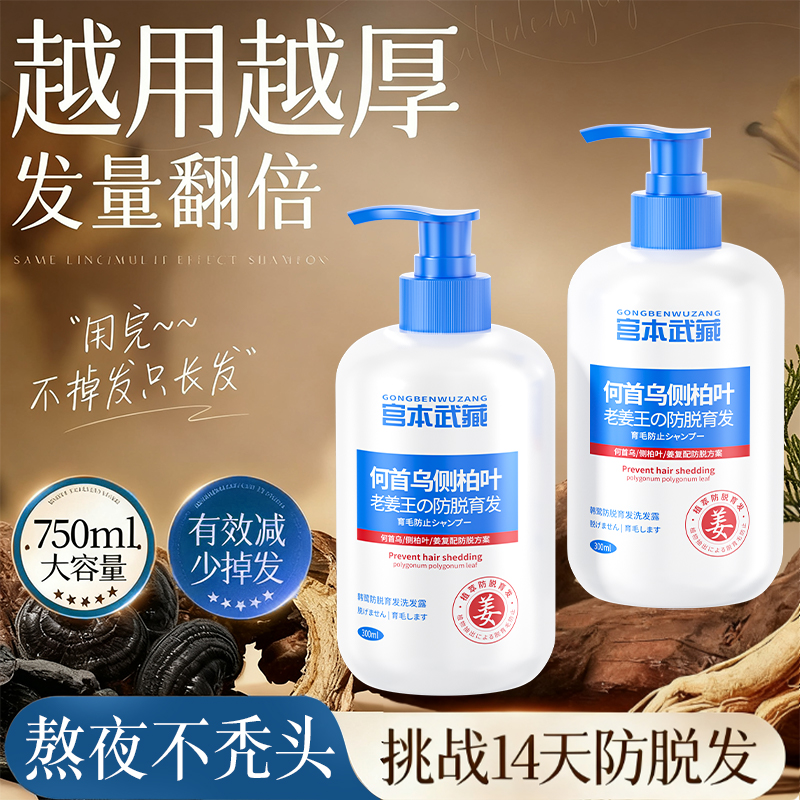 侧柏叶防脱育发生发洗发水控油