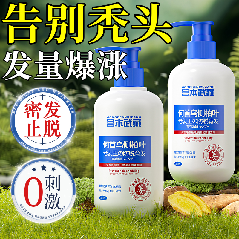 侧柏叶防脱育发生发洗发水控油