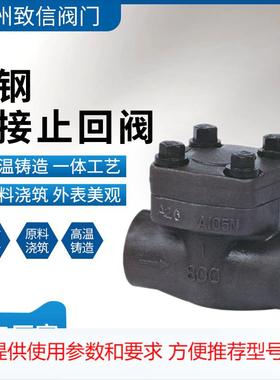 锻钢焊接止回阀 螺纹 H64H/H14H-16/25/40/64/100A105 F04 F16L