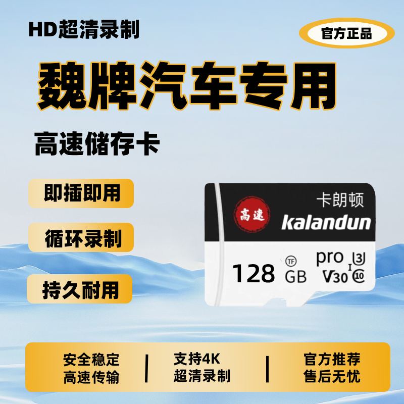 魏牌高山8/9蓝山摩卡专用行车记录仪高速内存卡存储TF卡车载哨兵