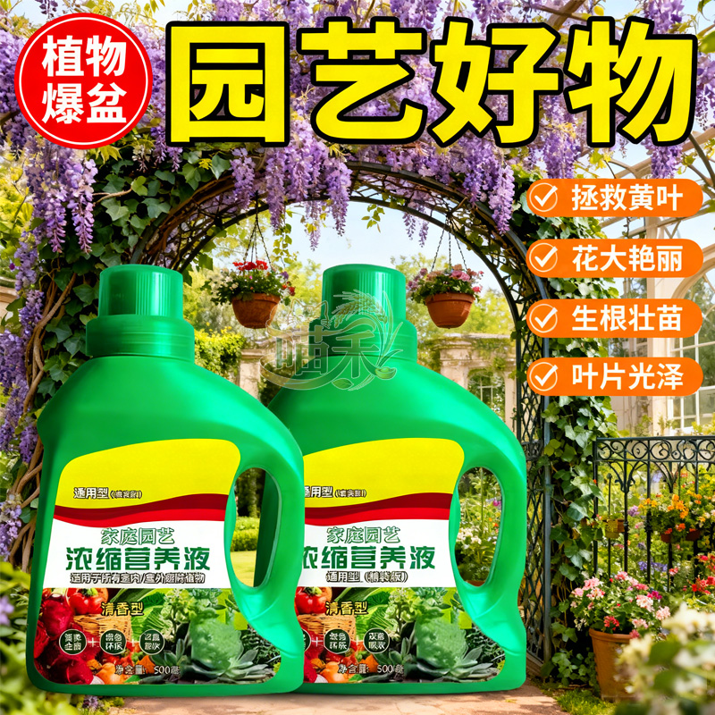 植物营养液通用型家用养花卉绿萝