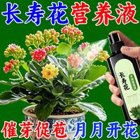 長(zhǎng)壽花營(yíng)養(yǎng)液催芽促花少病害