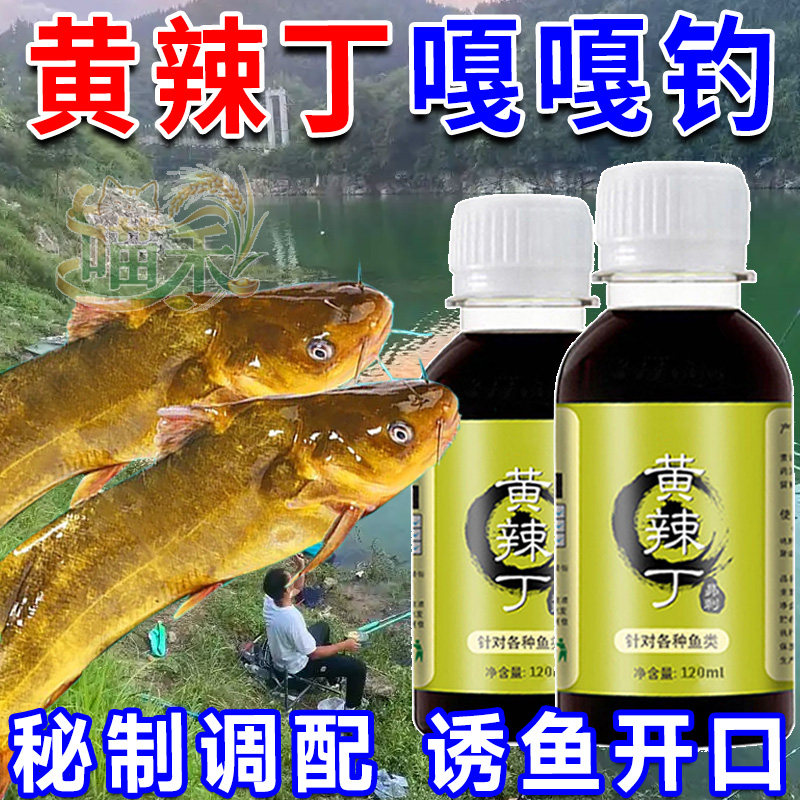 户外钓黄辣丁窝料专攻昂刺鱼黄颡