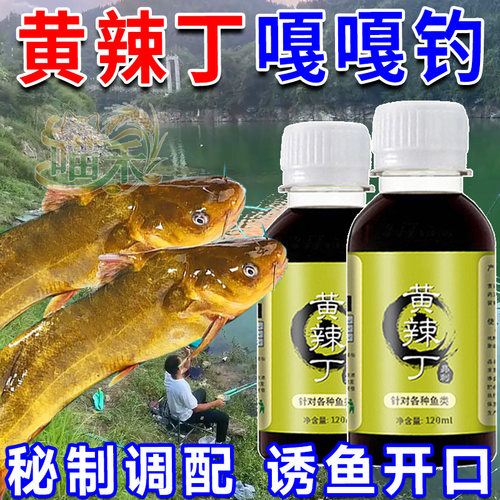 户外钓黄辣丁窝料专攻昂刺鱼黄颡
