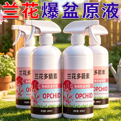 兰花多箭专用爆盆原液养花推荐