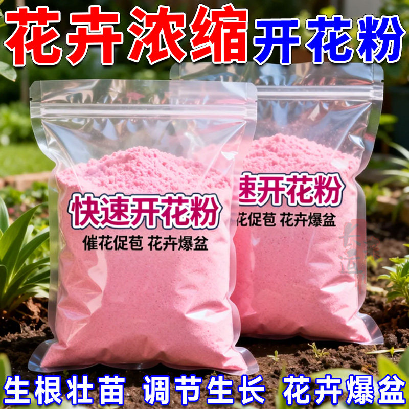 园艺快速开花粉通用君子兰三角梅专用植物强力爆花粉植物肥料促进