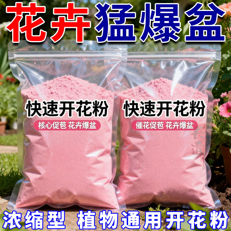 快速开花粉浓缩营养君子兰三角梅