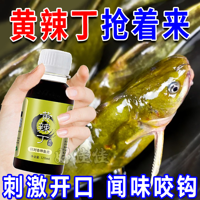 黄辣丁饵料野钓黑坑超浓腥黄颡鱼