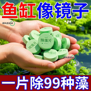 除藻剂鱼缸去苔剂净青苔清除剂褐藻去除神器绿水绿藻丝藻克星专用