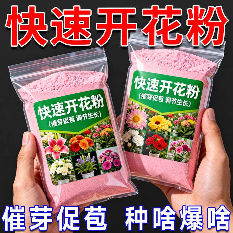 快速开花粉通用君子兰三角梅专用