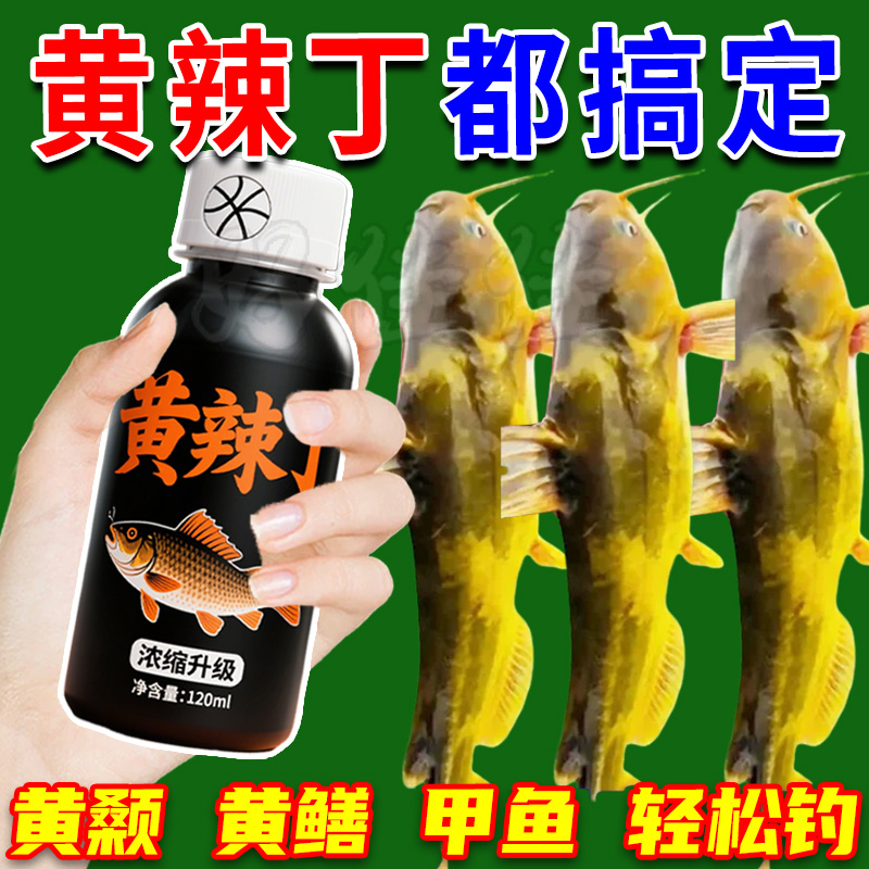 黄颡鱼野钓小药黑坑超浓钓黄辣丁