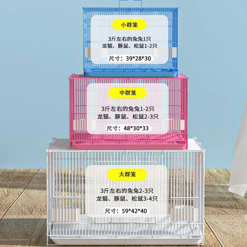 群笼大中小群鸟笼兔笼鸽子笼多型号手提铁丝宠物鹦鹉笼豚鼠折叠笼,宠物/宠物食品及用品,宠物鸡/鸭/鸽笼,淘宝优惠券,粉丝福利购,淘宝优惠卷