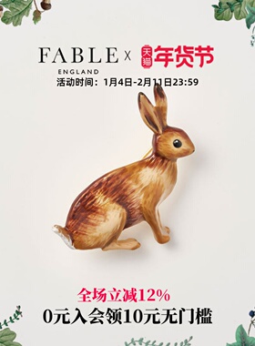 Fable棕色兔子珐琅彩胸针原创设计小动物胸针胸饰