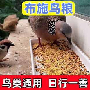 小型鸟粮野外鸟食布施麻雀斑鸠鸟粮天然鸟粮野外投喂专用带壳粮