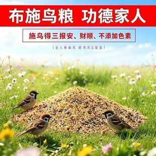 布施鸟食麻雀喜鹊画眉文鸟鸦五子黍谷杂粮小米袋谷子喂鸟户外阳台