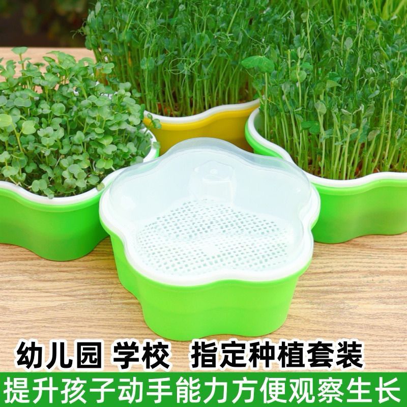 新款小号育苗盘带盖保温盘芽苗菜