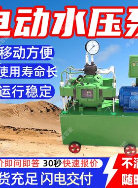 4DSB-4.0电动水压泵 多种规格电动水压泵 移动方便电动水压泵