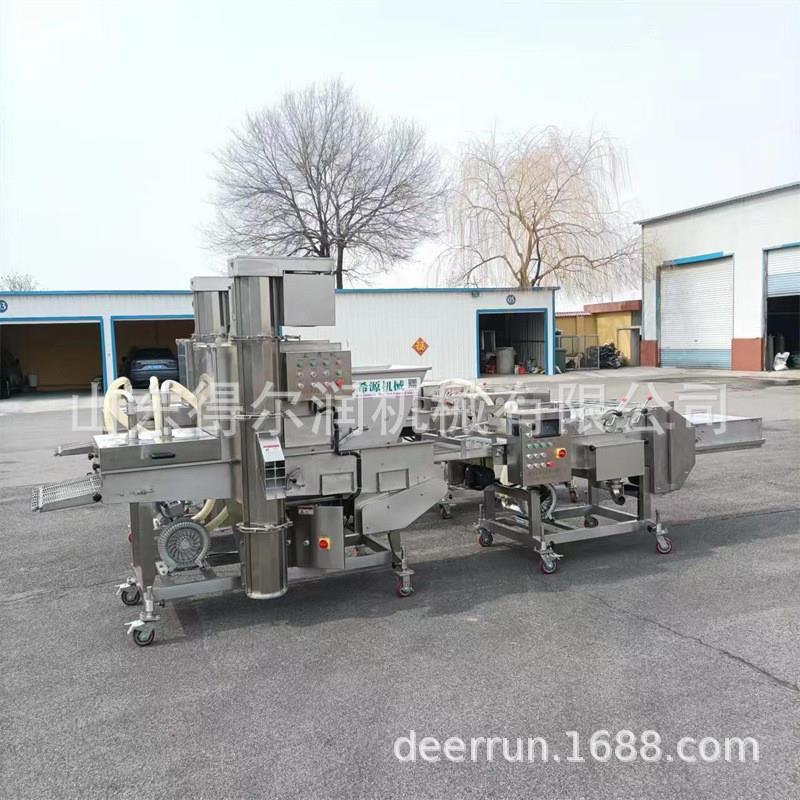 全自动400型上浆机 冻干草莓巧克力淋浆机 水果涂裹设备生产线