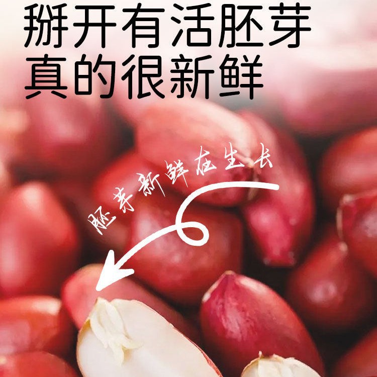 有机花生米东北农家生的小红皮打豆浆红衣2025新货优质原味花生