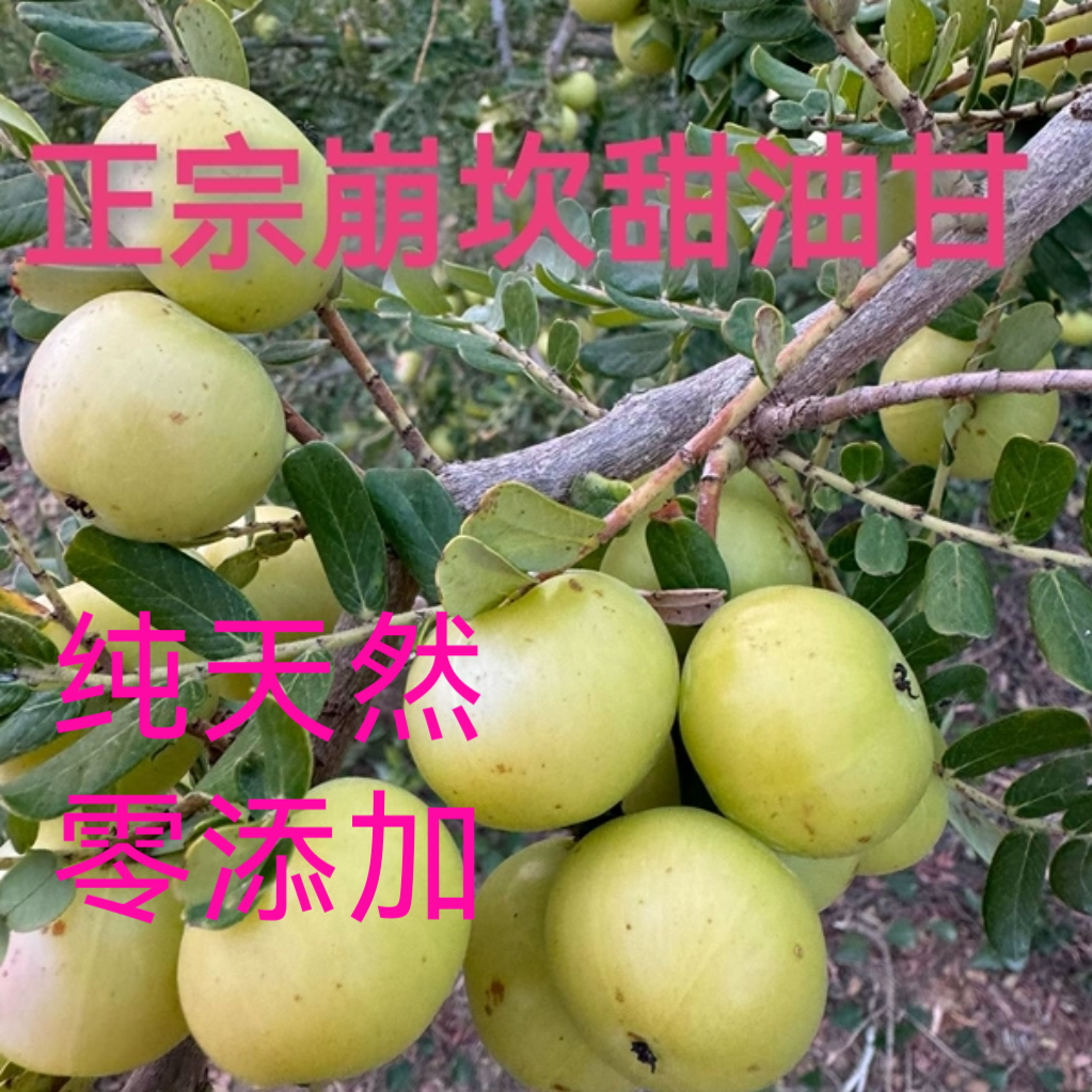 潮汕普宁崩坎甜种油甘果