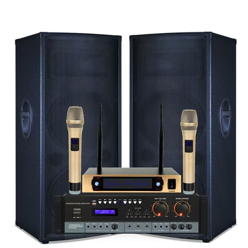 震音朗悦双15寸大型家用蓝牙音
