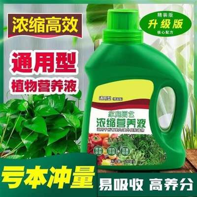 营养液植物通用型绿植花卉发财树富贵竹浓缩园艺液体肥料