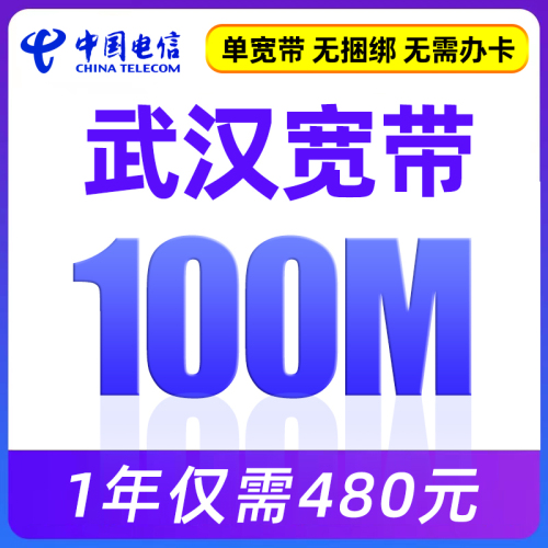 湖北武汉电信单宽带套餐新安装办理100M网络赠2个月